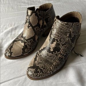 Snake Skin Booties